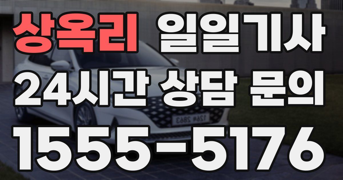 일일대리기사