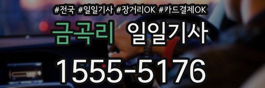 금곡리 일일기사