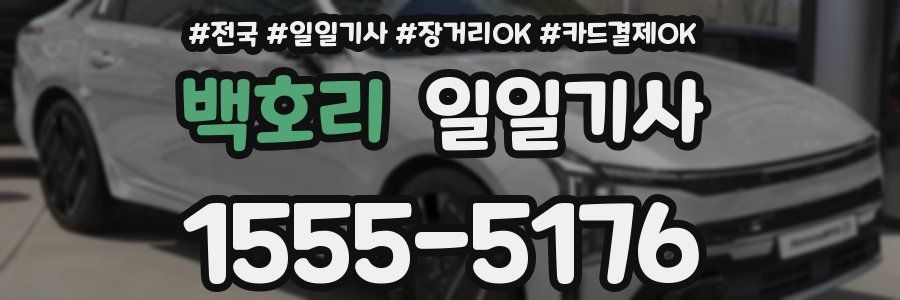 백호리 일일기사