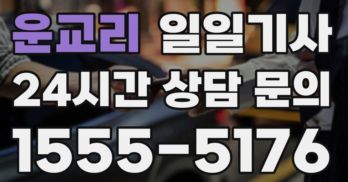 일일대리기사