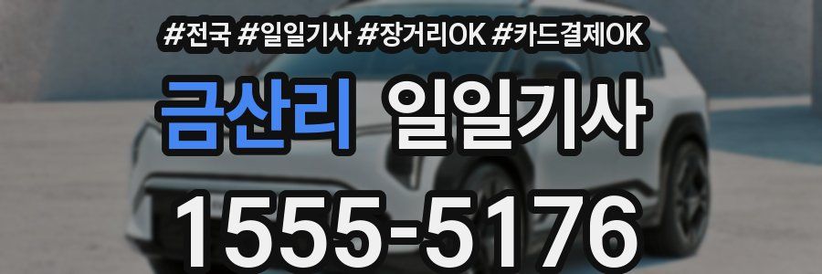 금산리 일일기사