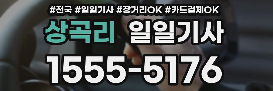 상곡리 일일기사