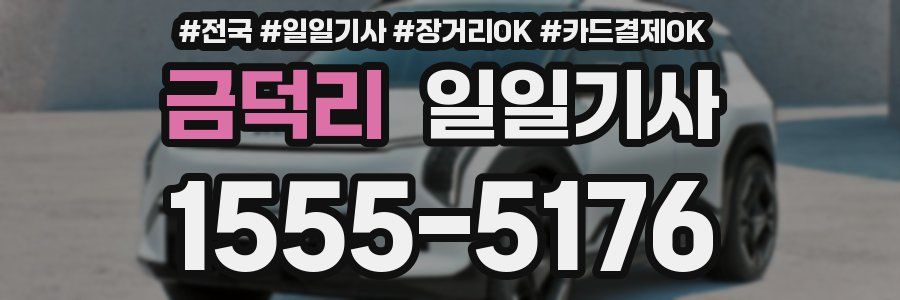 금덕리 일일기사