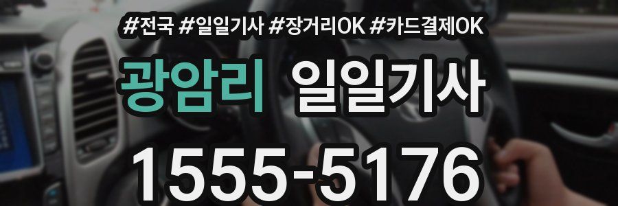 광암리 일일기사