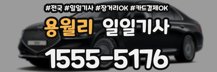 용월리 일일기사