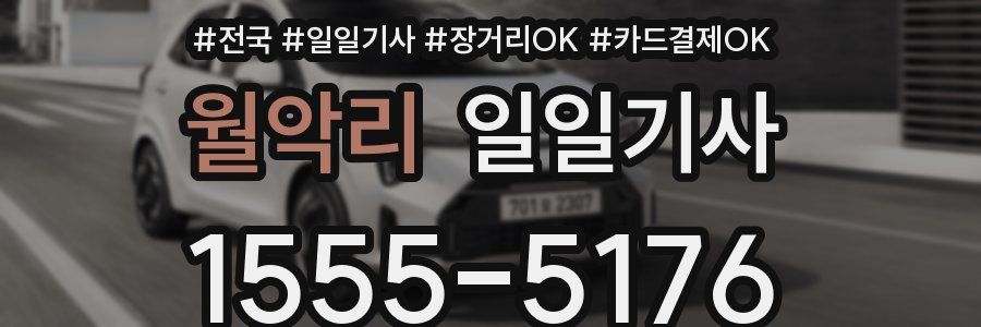 월악리 일일기사