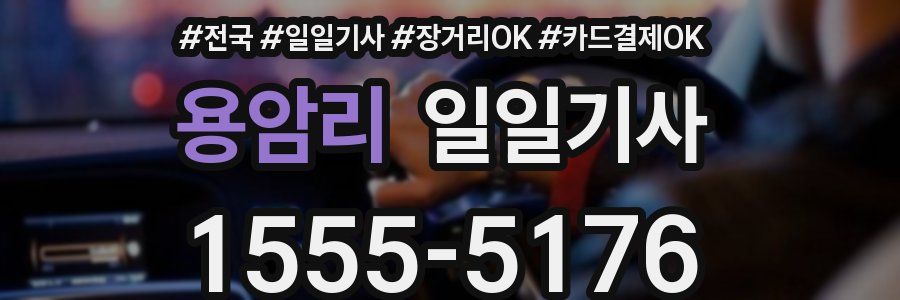 용암리 일일기사