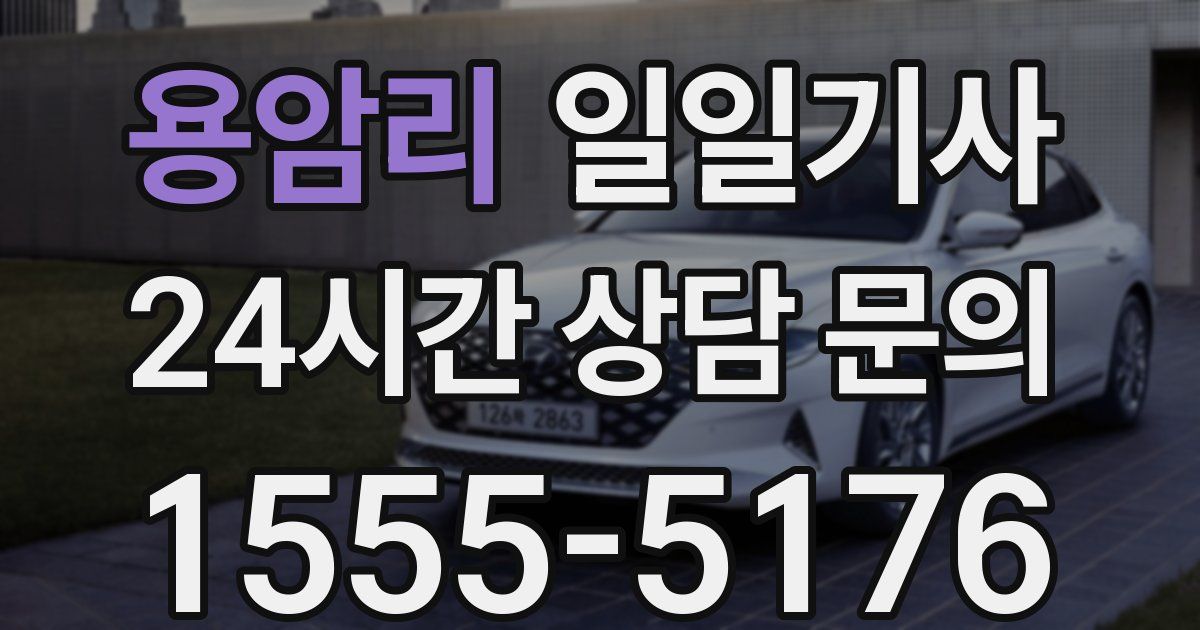 일일대리기사