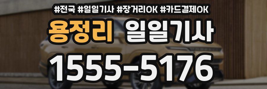 용정리 일일기사