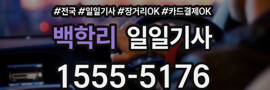 백학리 일일기사