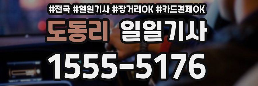 도동리 일일기사