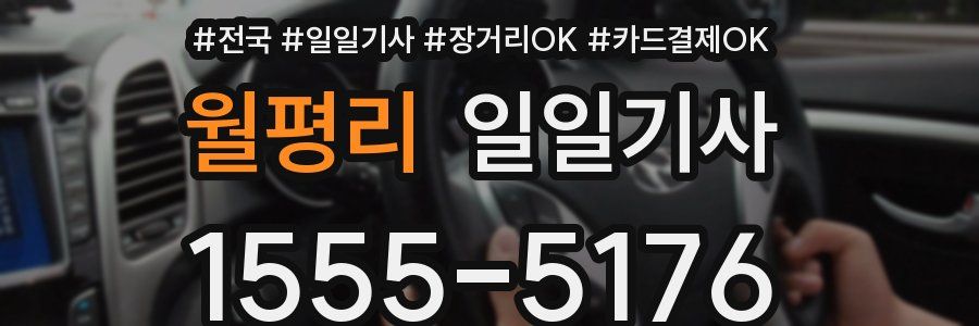 월평리 일일기사