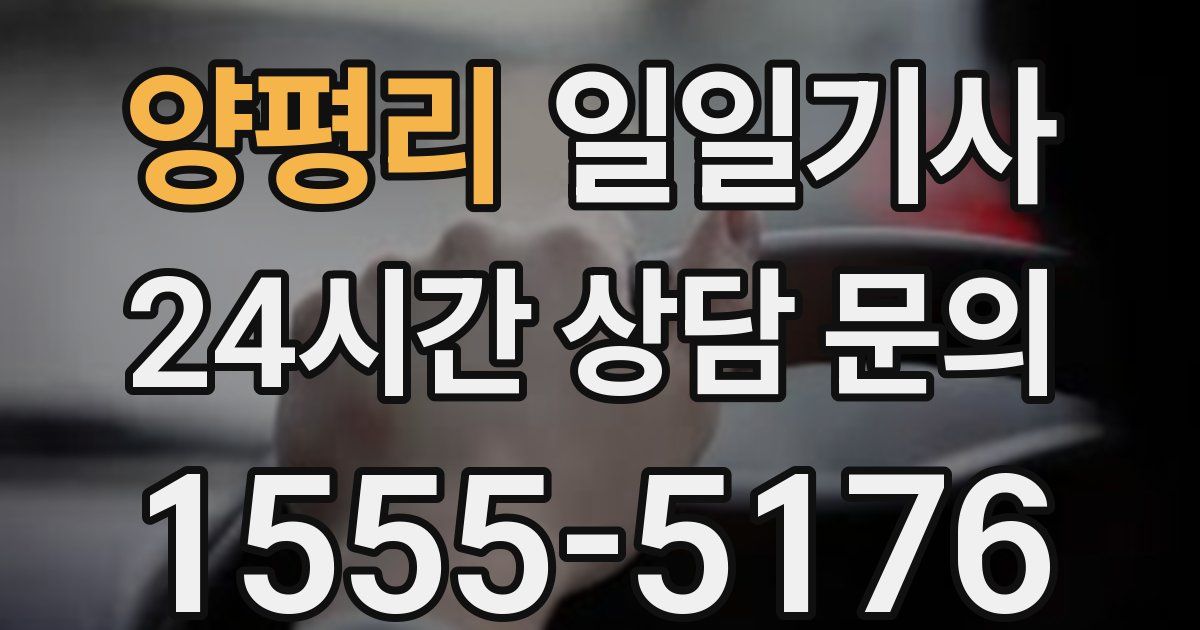 일일대리기사