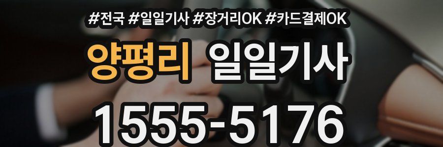 양평리 일일기사