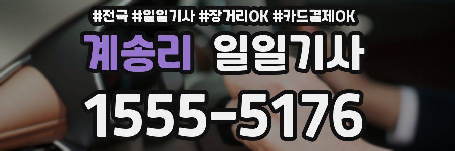 계송리 일일기사