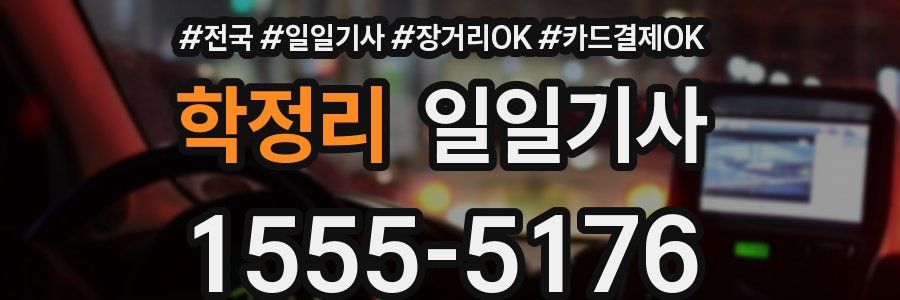 학정리 일일기사