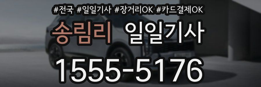 송림리 일일기사