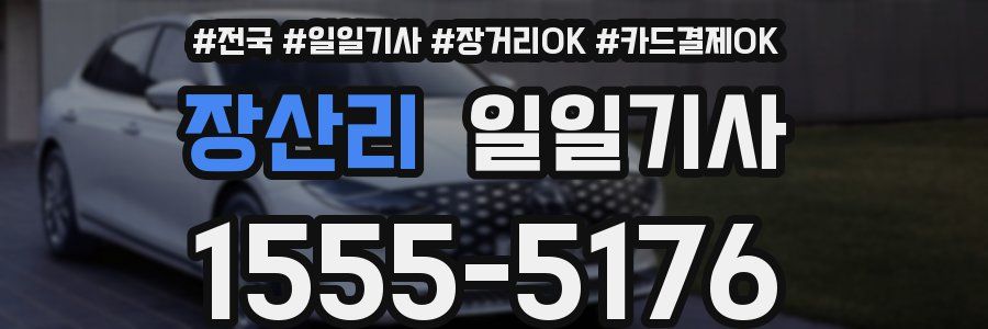 장산리 일일기사