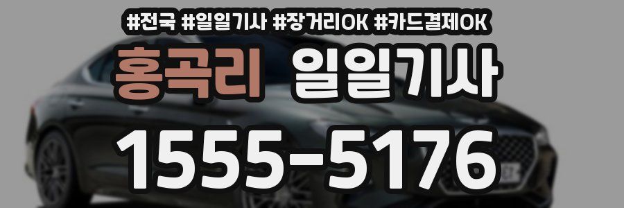 홍곡리 일일기사