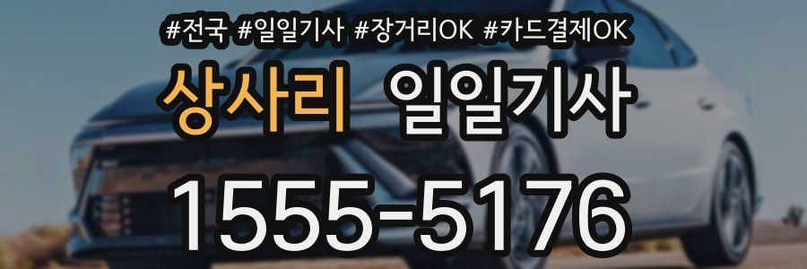 상사리 일일기사