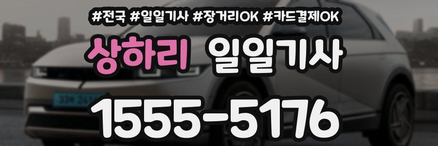 상하리 일일기사