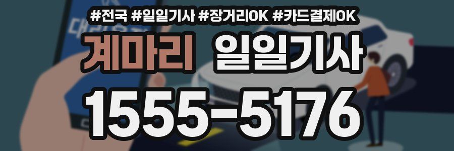 계마리 일일기사