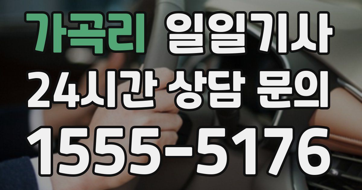 일일대리기사