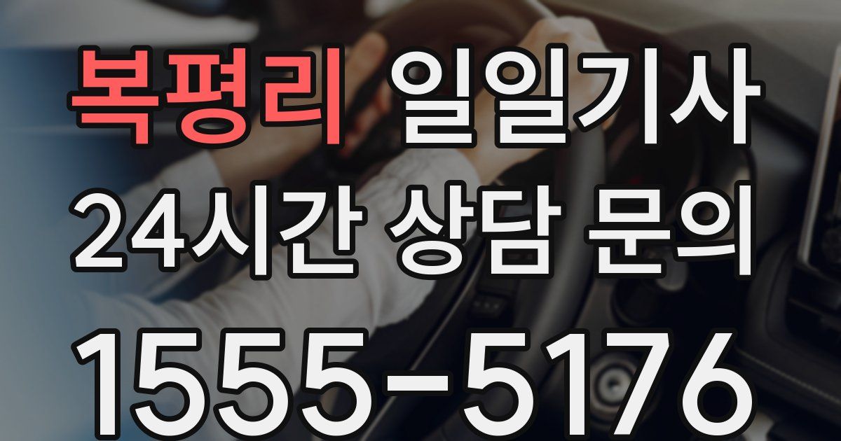 일일대리기사