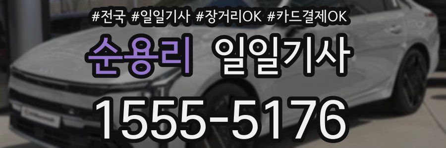 순용리 일일기사