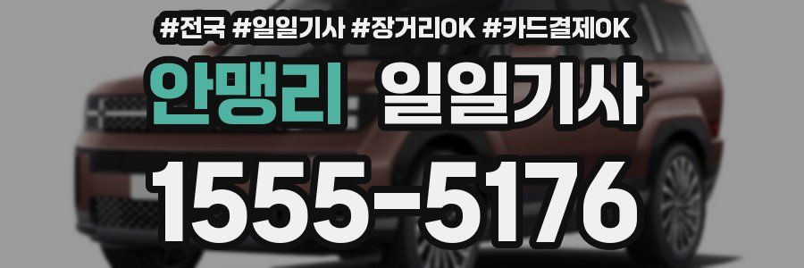 안맹리 일일기사