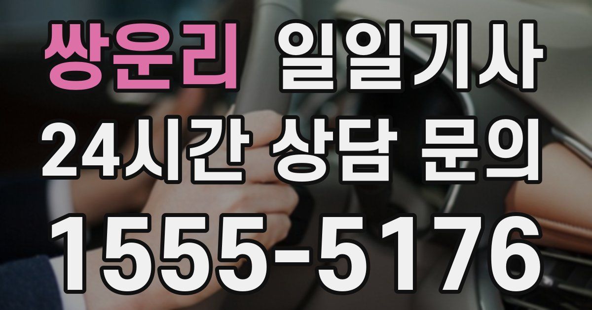 일일대리기사