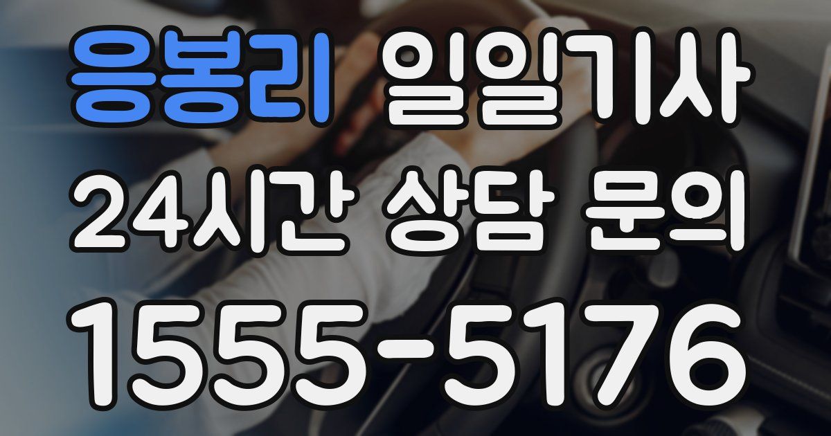 일일대리기사