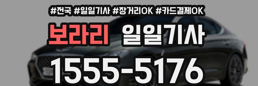 보라리 일일기사