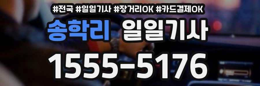 송학리 일일기사