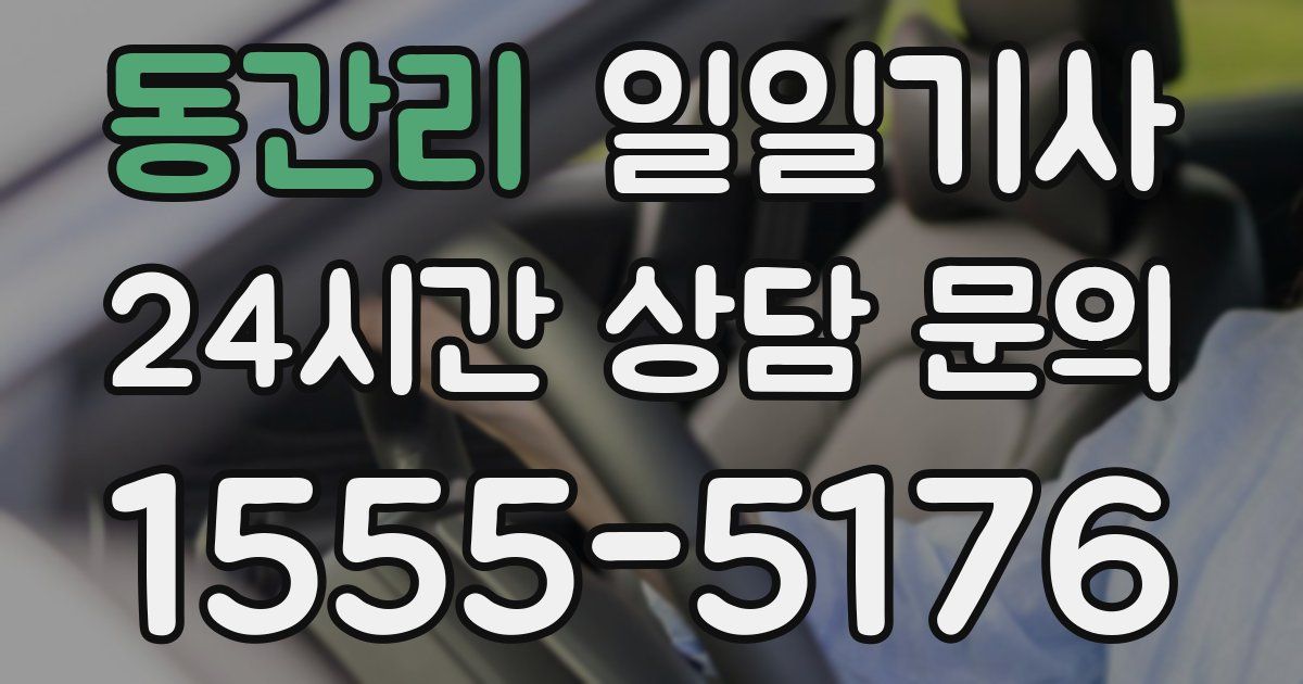 일일대리기사