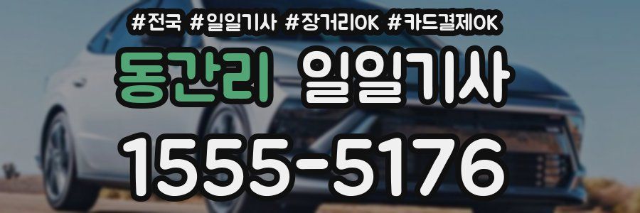 동간리 일일기사