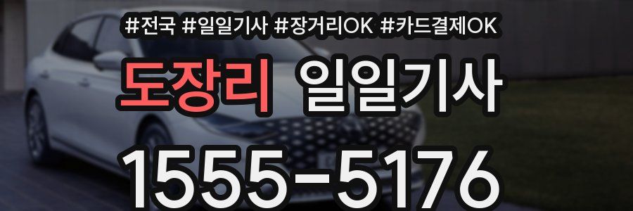 도장리 일일기사
