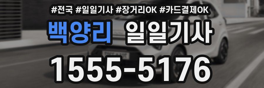 백양리 일일기사