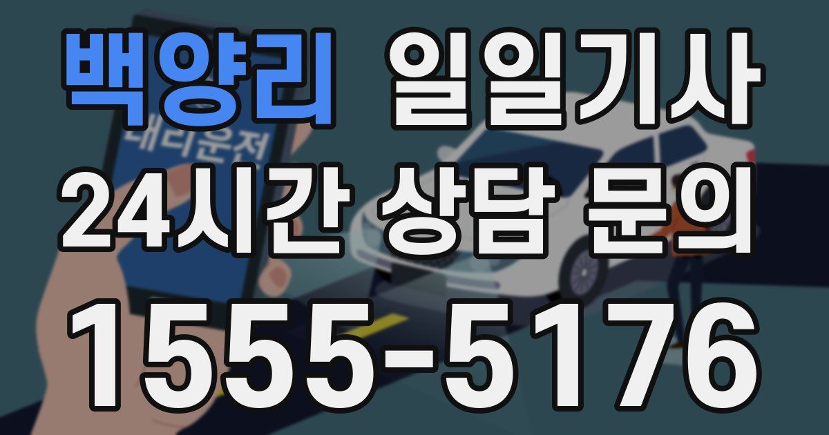 일일대리기사