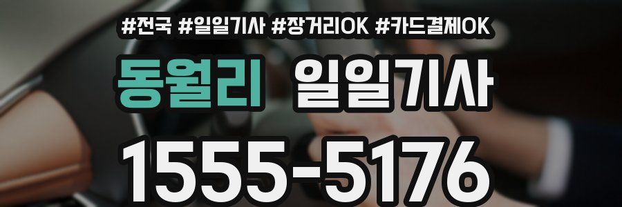 동월리 일일기사