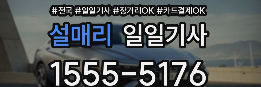 설매리 일일기사