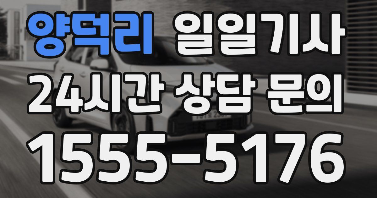 일일대리기사