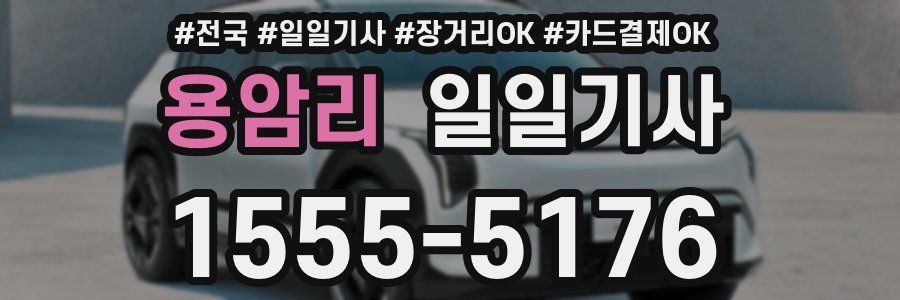 용암리 일일기사