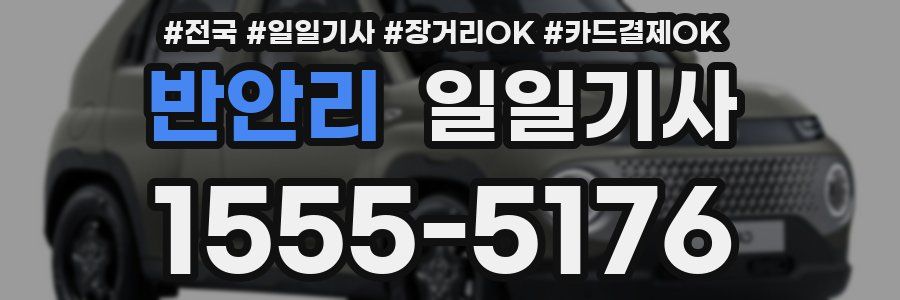 반안리 일일기사