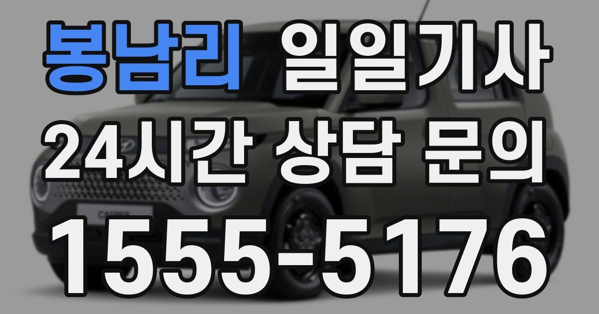 일일대리기사