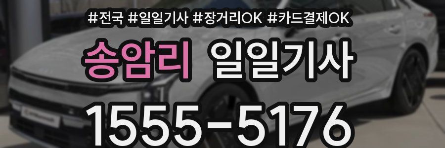 송암리 일일기사