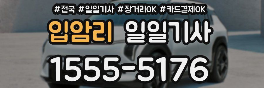 입암리 일일기사