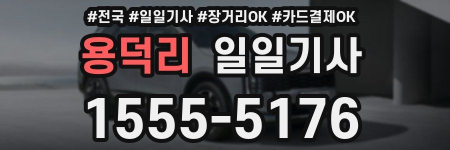 용덕리 일일기사