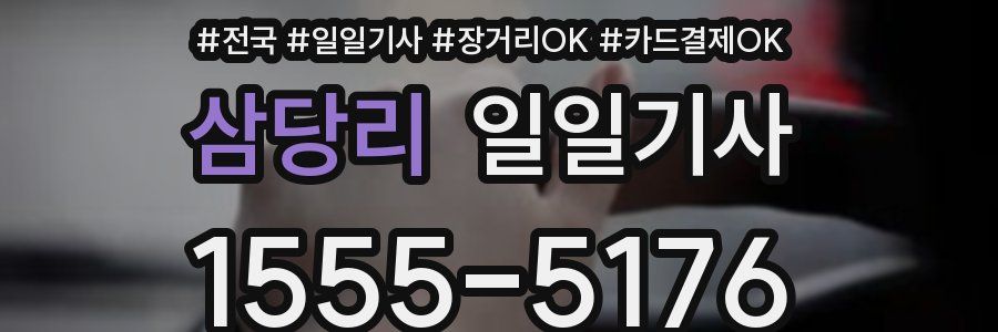 삼당리 일일기사