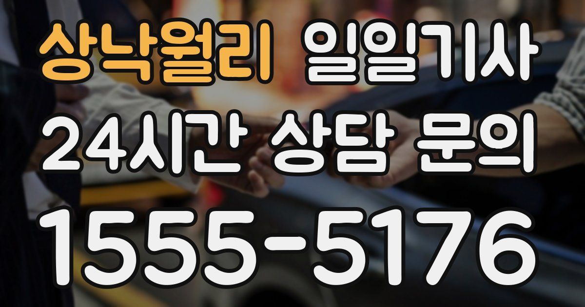 일일대리기사